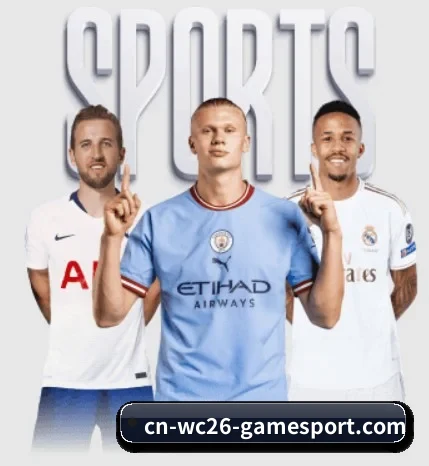 五大服务分区,信息按项目分类 | Kaiyun Sports